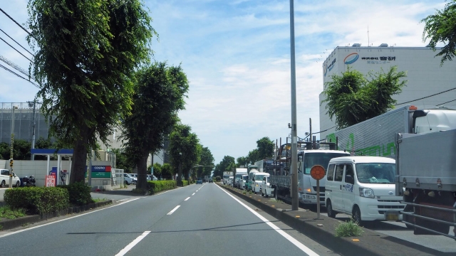 埼玉ドライブ所沢市463号線けやき並木