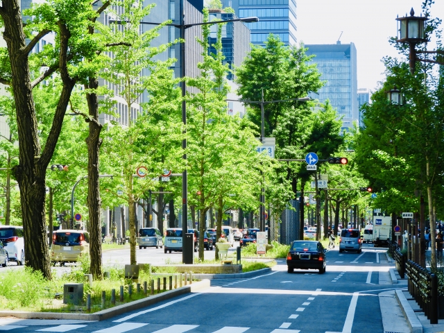 新緑の大阪御堂筋側道